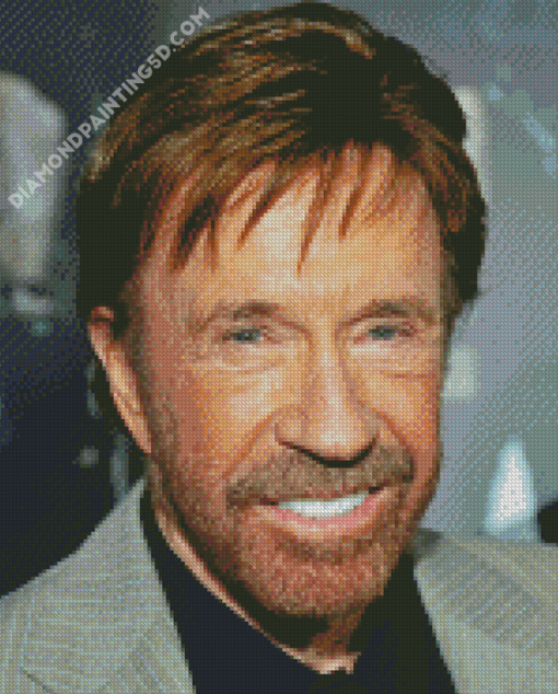 Chuck Norris Diamond Paintings