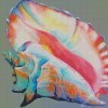 Colorful Conch Shell Diamond Paintings