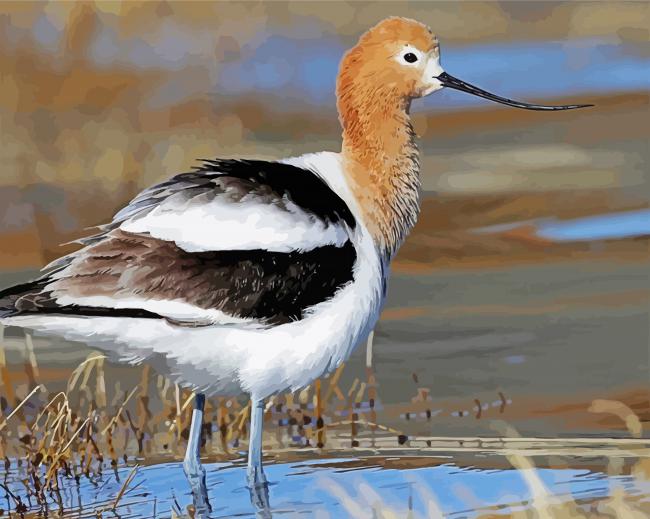 Cute Avocet Diamond Paintings