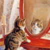 Cute Cat Looking At Mirror Diamond Paintings