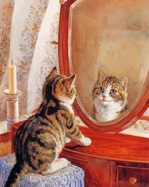 Cute Cat Looking At Mirror Diamond Paintings