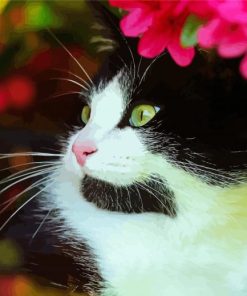 Cute Tuxedo Cat Diamond Paintings