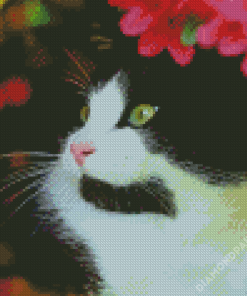 Cute Tuxedo Cat Diamond Paintings