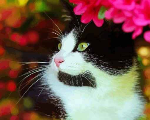 Cute Tuxedo Cat Diamond Paintings