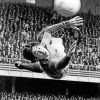 Gordon Banks Stoke Diamond Paintings