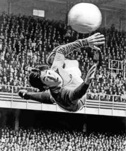 Gordon Banks Stoke Diamond Paintings