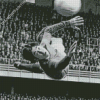 Gordon Banks Stoke Diamond Paintings