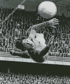 Gordon Banks Stoke Diamond Paintings