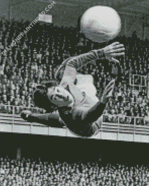 Gordon Banks Stoke Diamond Paintings