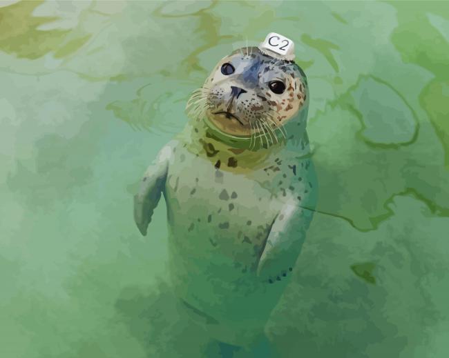 Harbor Seal In Water Diamond Paintings