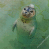 Harbor Seal In Water Diamond Paintings