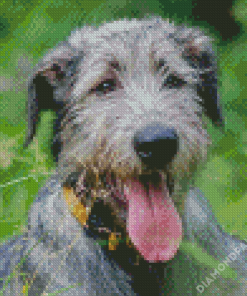 Irish Wolfhound Animal Diamond Paintings