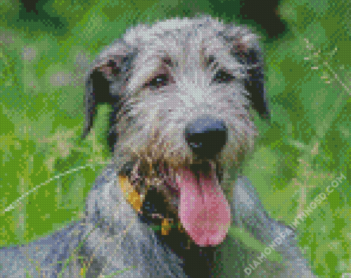 Irish Wolfhound Animal Diamond Paintings