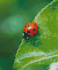 Ladybird Insect Diamond Paintings