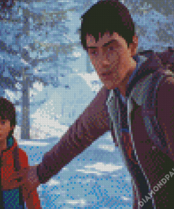 Life is Strange Game Video Characters Diamond Paintings