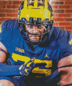 Michigan Wolverines Player Diamond Paintings