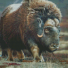 Muskox Animal Diamond Paintings