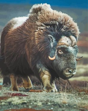 Muskox Animal Diamond Paintings