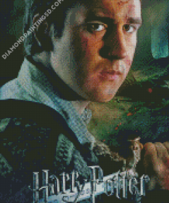 Neville Longbottom From Harry Potter Diamond Paintings