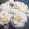 Peonies Flowers Diamond Paintings