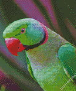 Ringneck Parrot Diamond Paintings