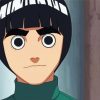 Rock Lee Anime Diamond Paintings