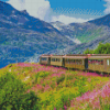 Skagway Train Diamond Paintings