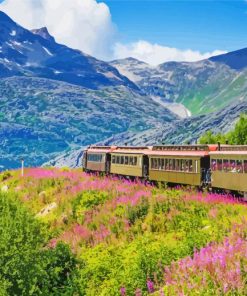 Skagway Train Diamond Paintings