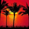 Sunset Palm Tree Diamond Paintings