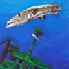 The Barracuda Fish Diamond Paintings