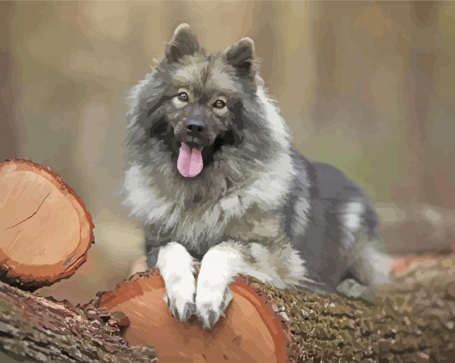 The Keeshond Dog Diamond Paintings