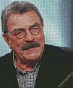 Tom Selleck American Actor Diamond Paintings