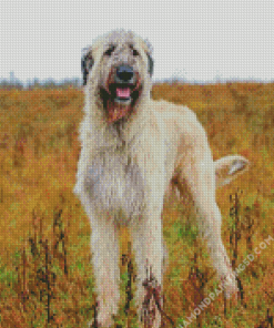 White Irish Wolfhound Diamond Paintings