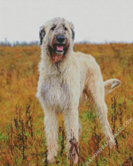 White Irish Wolfhound Diamond Paintings