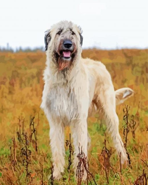 White Irish Wolfhound Diamond Paintings