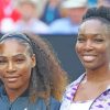 Williams Sisters Diamond Paintings