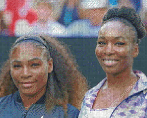 Williams Sisters Diamond Paintings