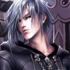 Zexion Kingdom Hearts Diamond Paintings