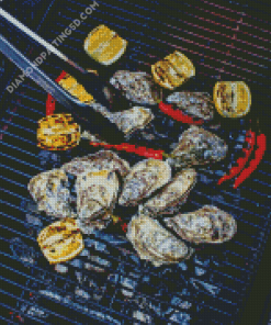 Aesthetic Barbecue Diamond Paintings