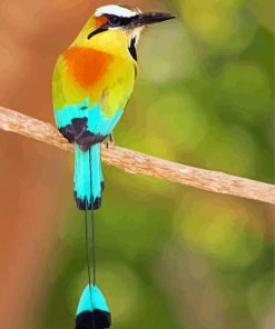 Aesthetic Motmot Bird Diamond Paintings