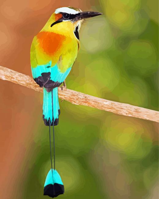 Aesthetic Motmot Bird Diamond Paintings