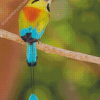 Aesthetic Motmot Bird Diamond Paintings