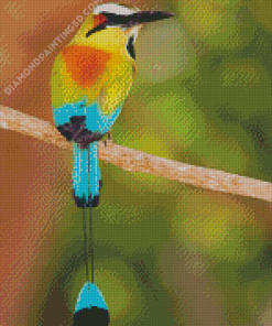 Aesthetic Motmot Bird Diamond Paintings