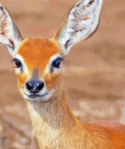 Aesthetic Steenbok Diamond Paintings