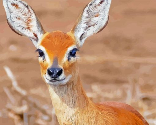 Aesthetic Steenbok Diamond Paintings