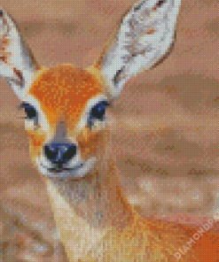 Aesthetic Steenbok Diamond Paintings