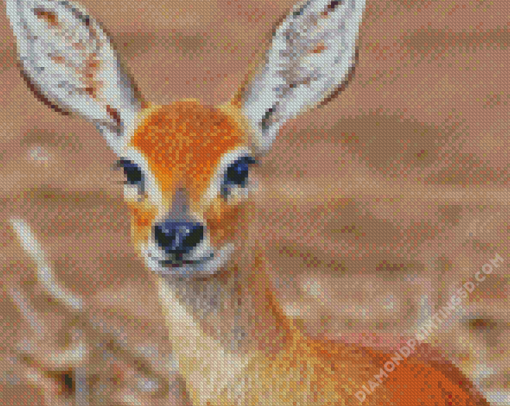 Aesthetic Steenbok Diamond Paintings