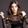 Aesthetic Hailee Syeinfeld Diamond Paintings