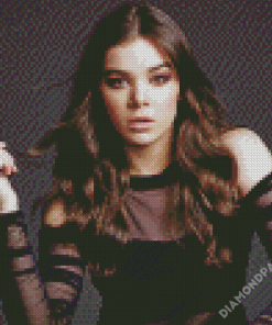 Aesthetic Hailee Syeinfeld Diamond Paintings