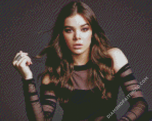 Aesthetic Hailee Syeinfeld Diamond Paintings